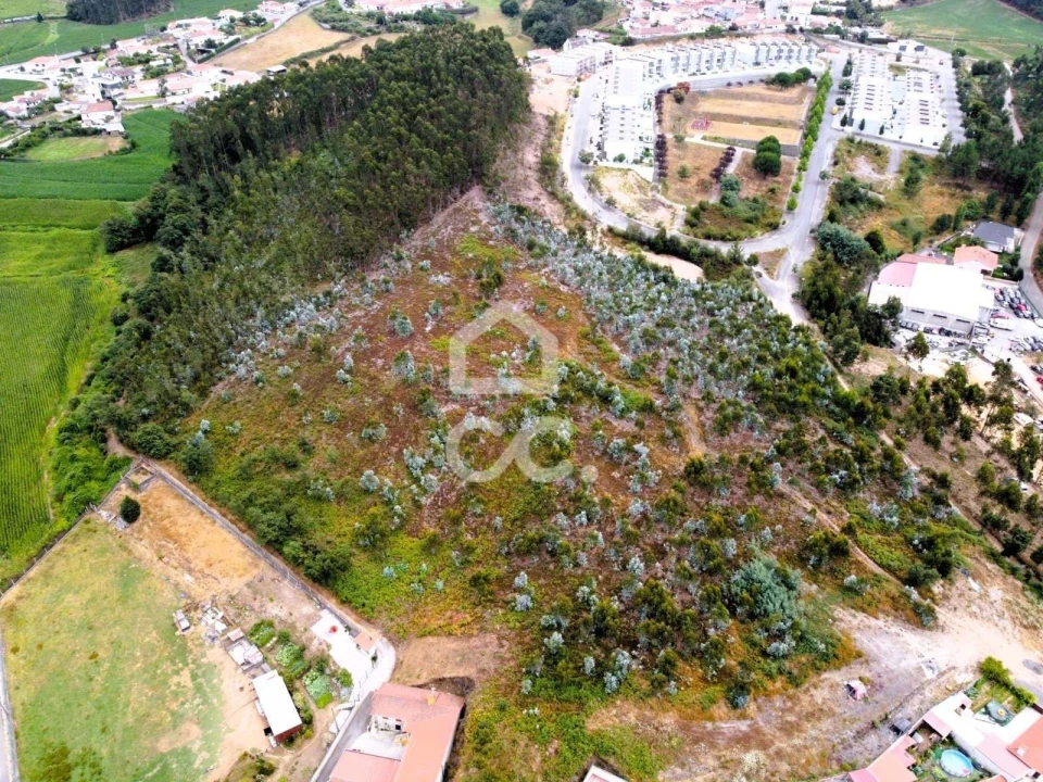 Terreno para Venda em Vila Nova de Famalicão e Calendário Foto 23