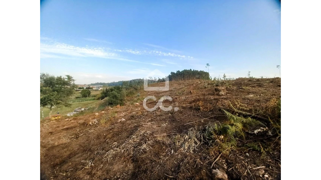 Terreno para Venda em Vila Nova de Famalicão e Calendário Foto 12