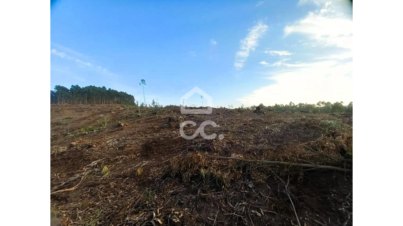 Terreno para Venda em Vila Nova de Famalicão e Calendário Foto 19