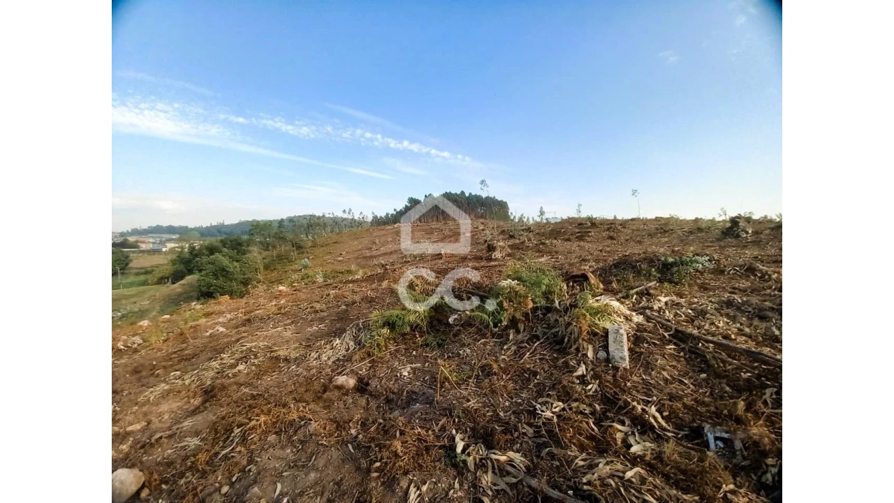 Terreno para Venda em Vila Nova de Famalicão e Calendário Foto 8