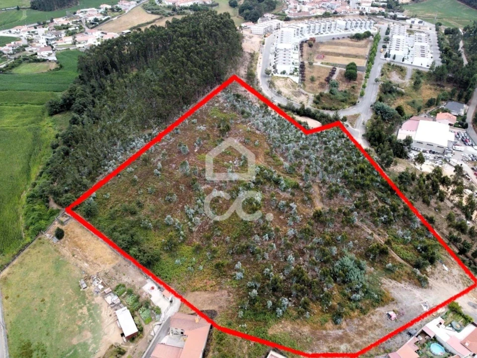Terreno para Venda em Vila Nova de Famalicão e Calendário Foto 3