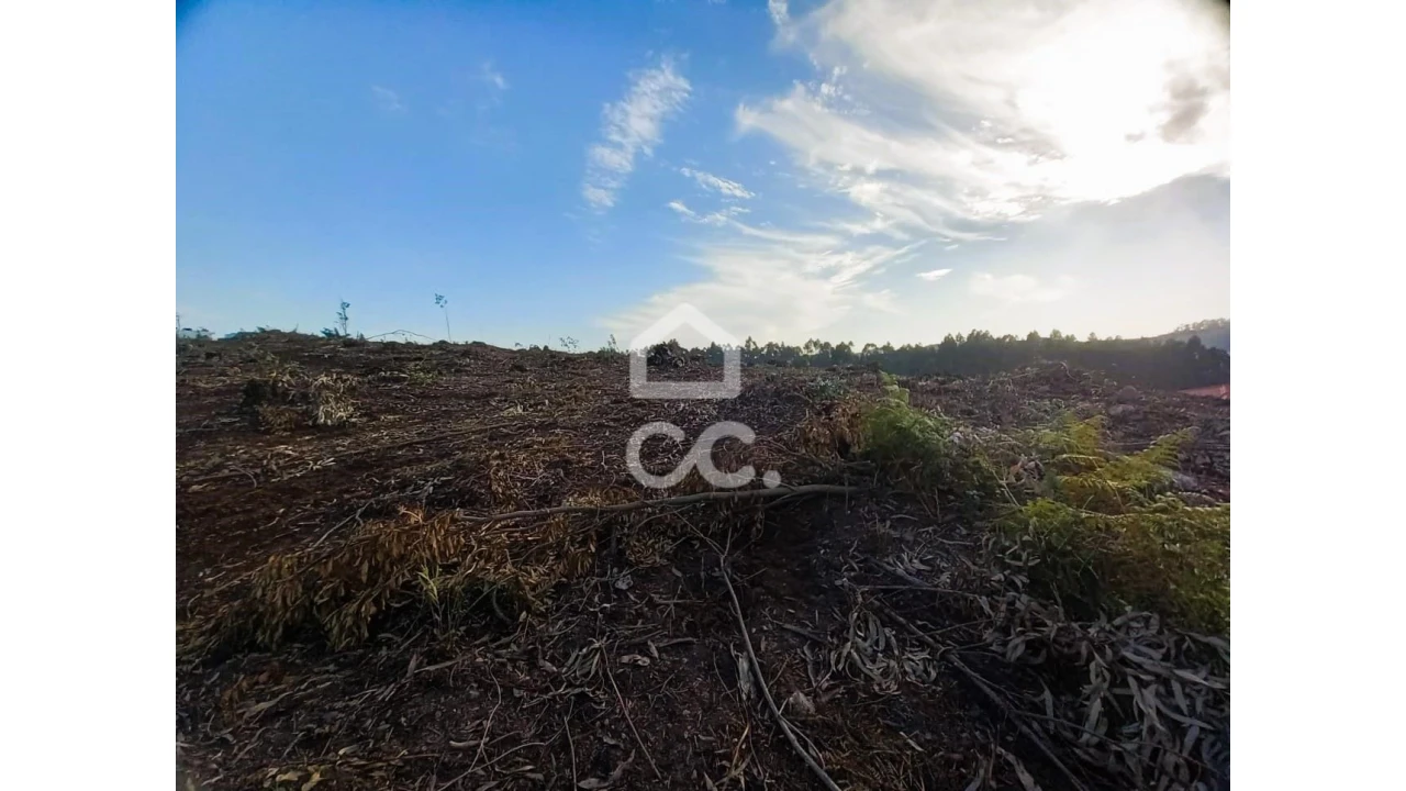 Terreno para Venda em Vila Nova de Famalicão e Calendário Foto 11