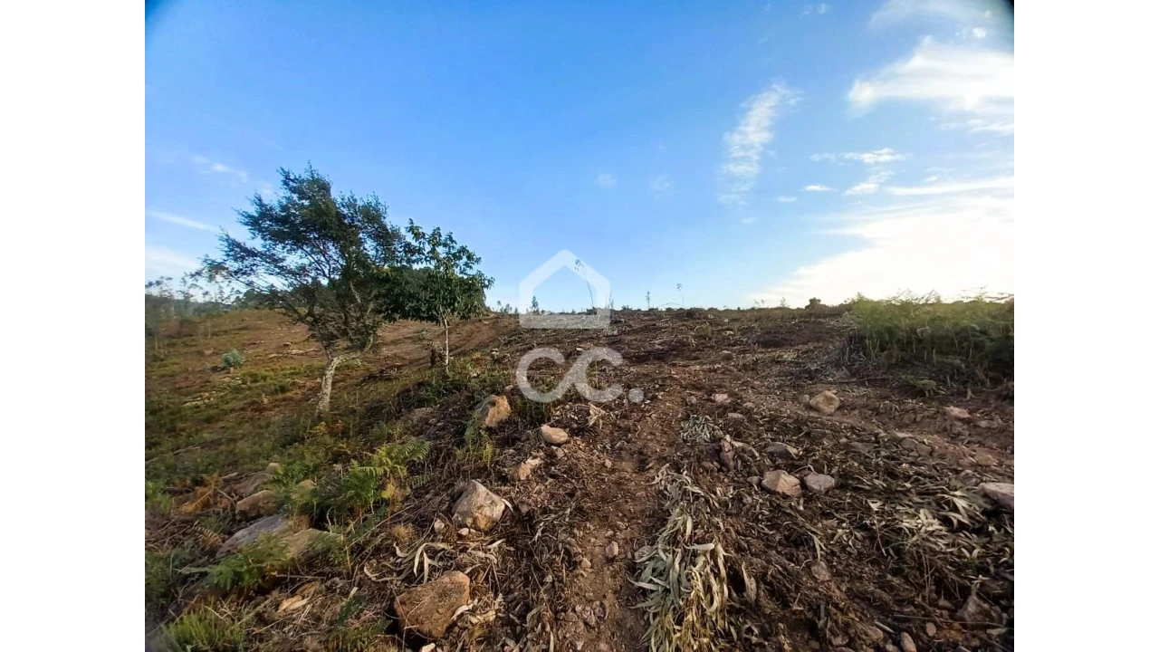 Terreno para Venda em Vila Nova de Famalicão e Calendário Foto 13
