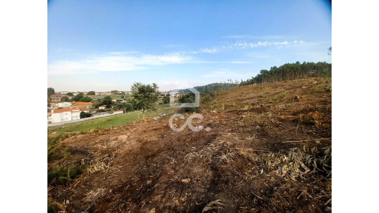 Terreno para Venda em Vila Nova de Famalicão e Calendário Foto 7