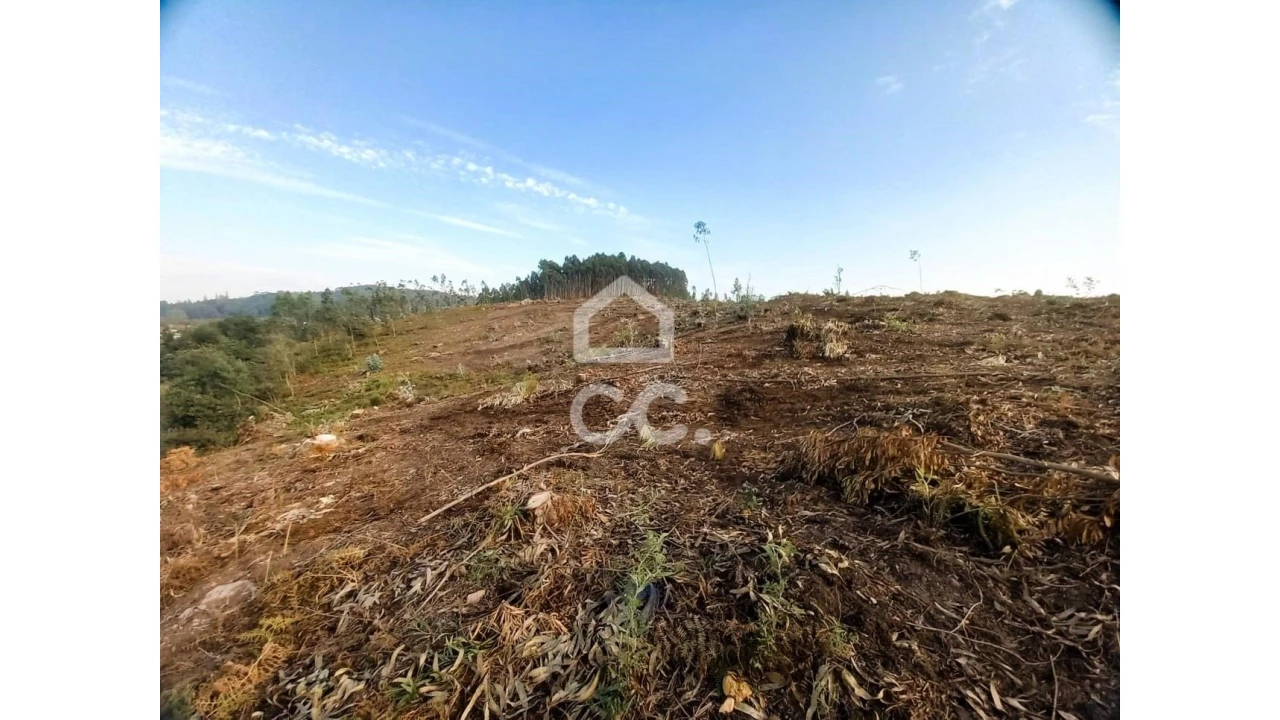 Terreno para Venda em Vila Nova de Famalicão e Calendário Foto 9