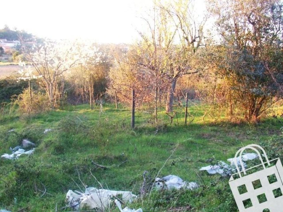 Terreno para Venda em Faíl e Vila Chã de Sá Foto 4