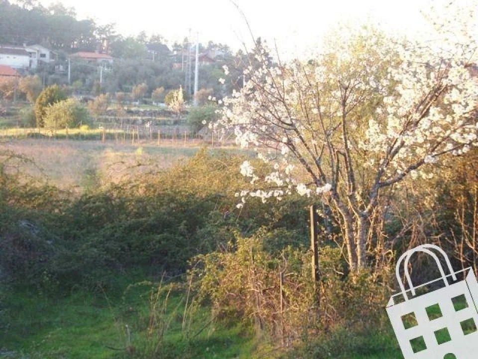 Terreno para Venda em Faíl e Vila Chã de Sá Foto 2
