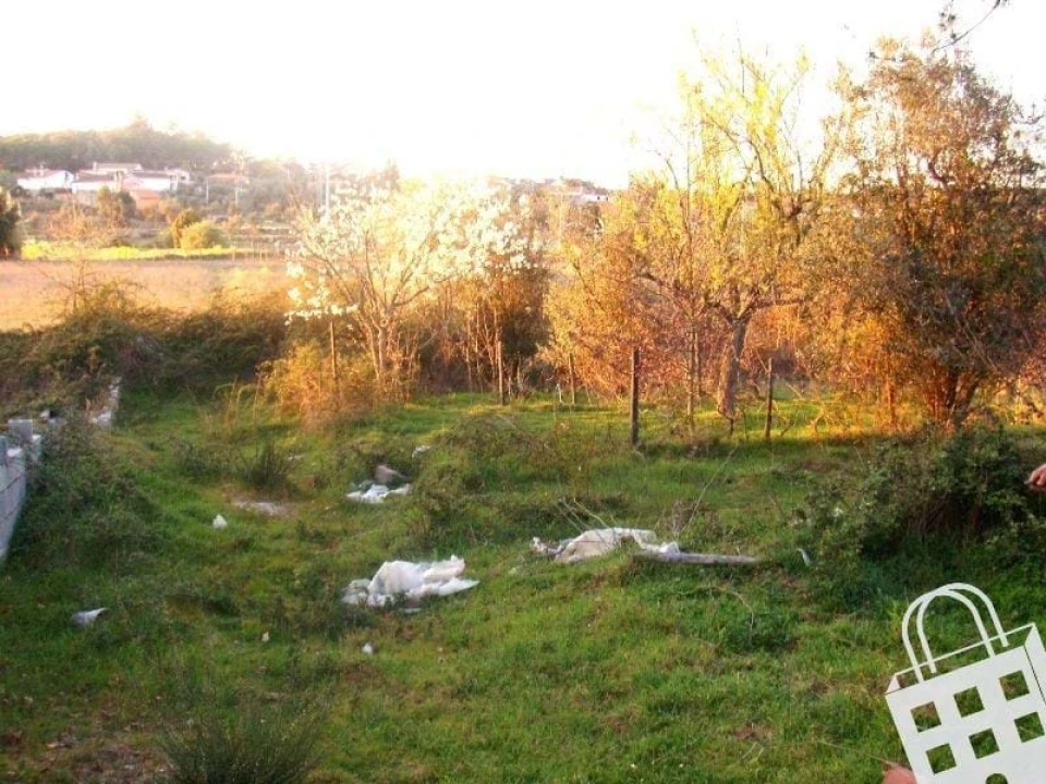 Terreno para Venda em Faíl e Vila Chã de Sá Foto 1
