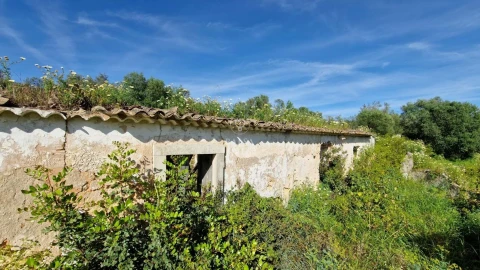 Terreno para Venda em Loule (São Sebastião)