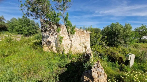 Terreno para Venda em Loule (São Sebastião)