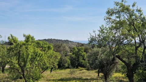 Terreno para Venda em Loule (São Sebastião)