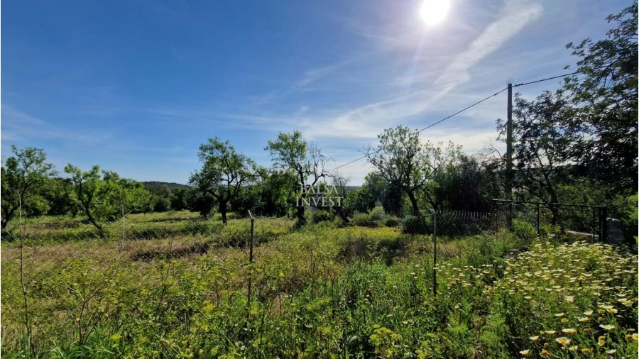 Terreno para Venda em Loule (São Sebastião) Foto 12