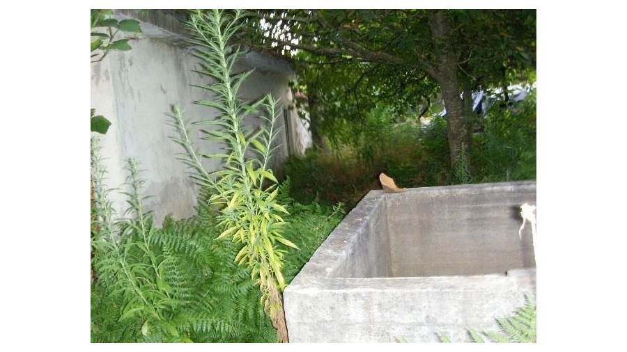 Moradia para Venda em Carvalhais e Candal Foto 10
