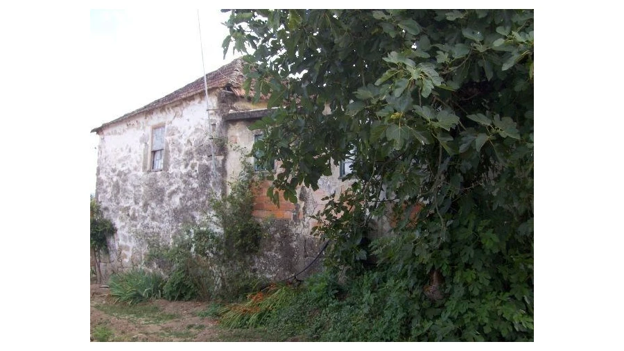 Moradia para Venda em Carvalhais e Candal Foto 4