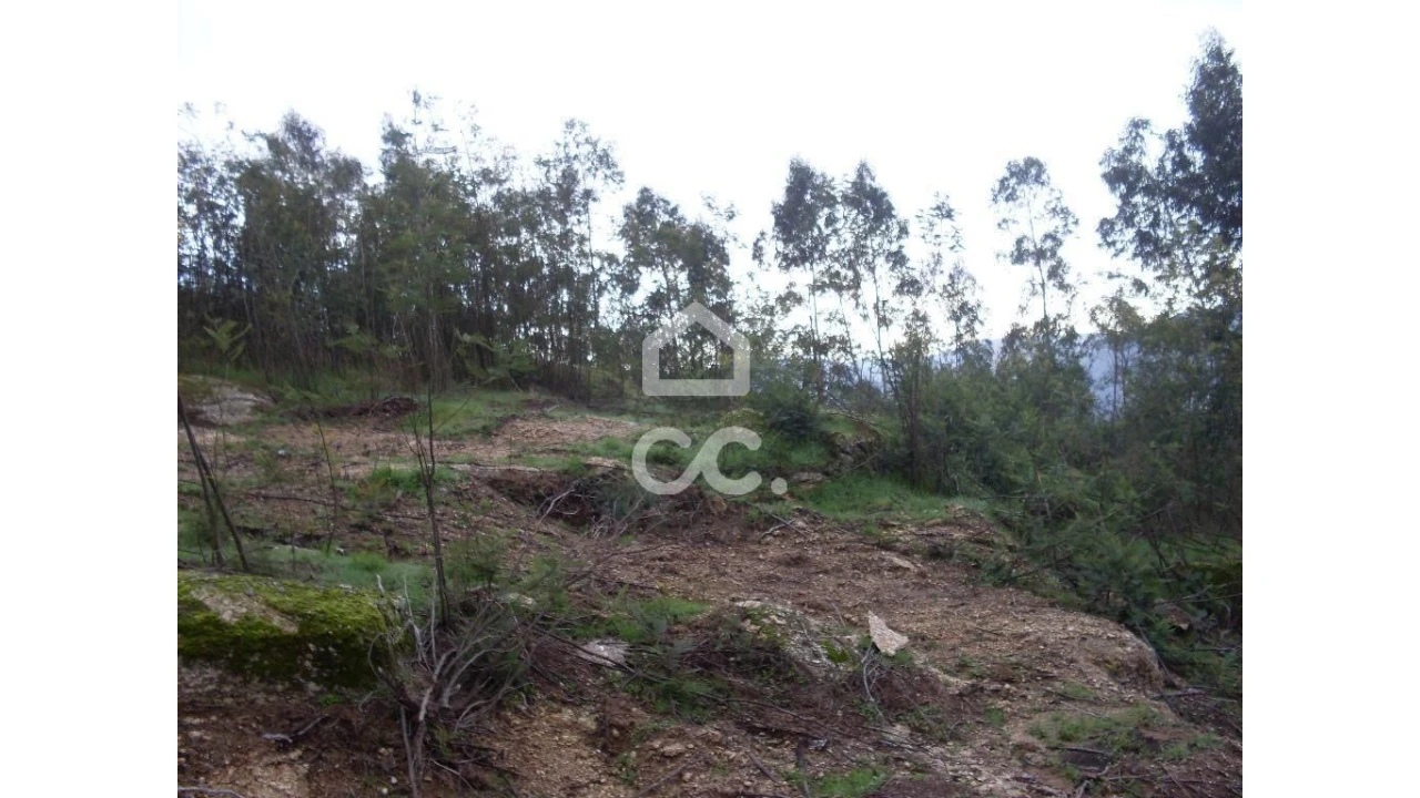 Terreno para Venda em Oliveira, São Paio e São Sebastião Foto 3