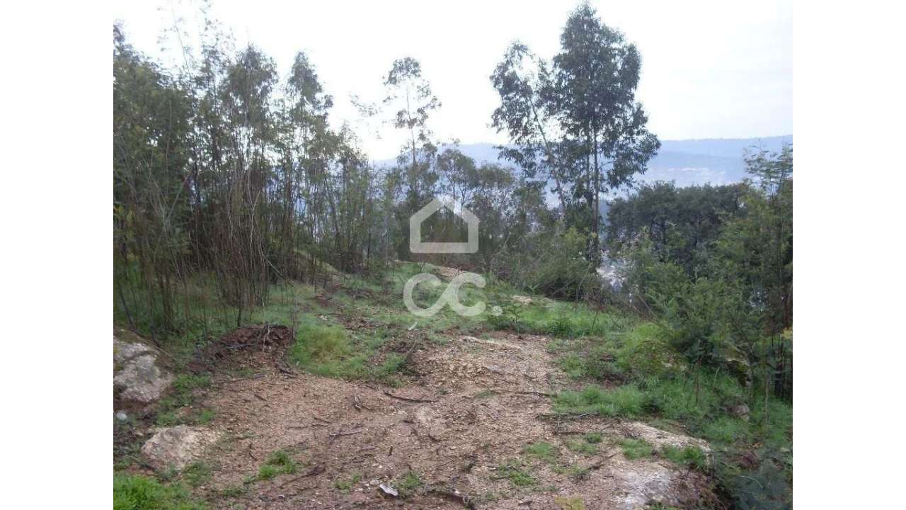 Terreno para Venda em Oliveira, São Paio e São Sebastião Foto 5