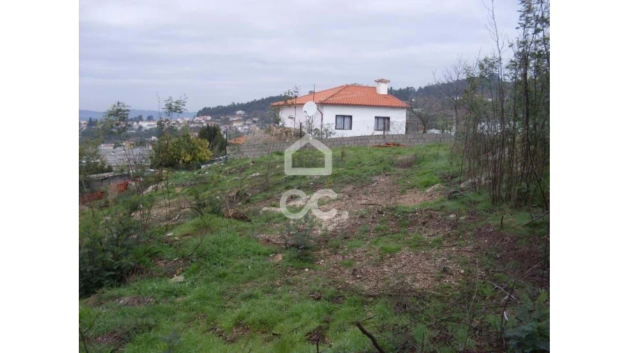 Terreno para Venda em Oliveira, São Paio e São Sebastião Foto 2