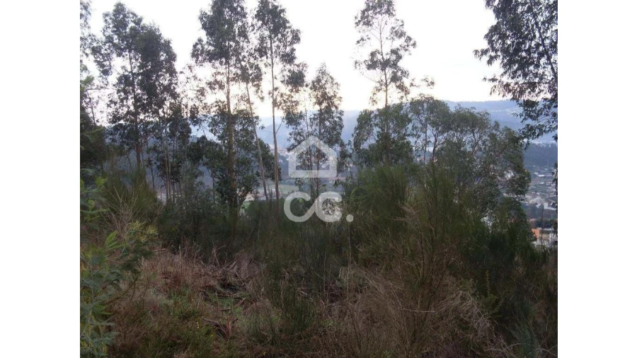 Terreno para Venda em Oliveira, São Paio e São Sebastião Foto 6