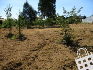 Terreno para Venda em Campo