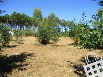 Terreno para Venda em Campo
