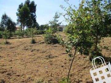 Terreno para Venda em Campo