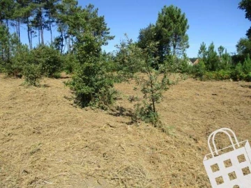 Terreno para Venda em Campo