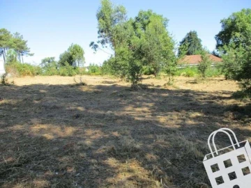 Terreno para Venda em Campo