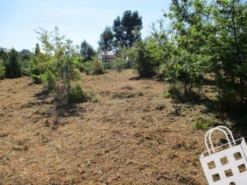 Terreno para Venda em Campo