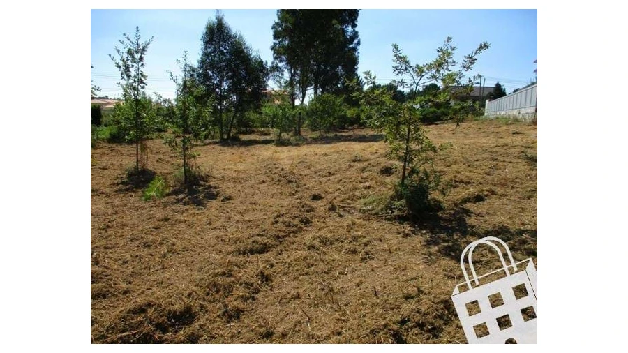 Terreno para Venda em Campo Foto 5