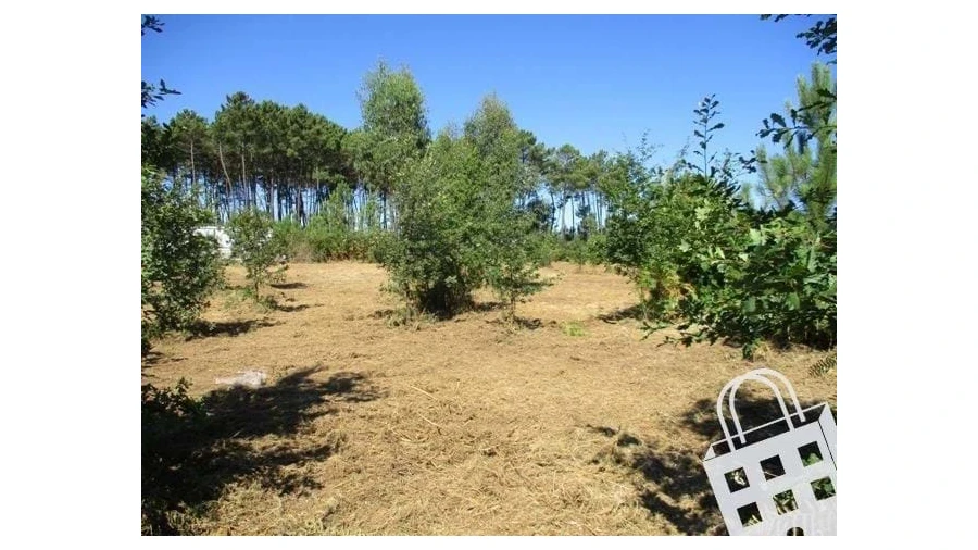 Terreno para Venda em Campo