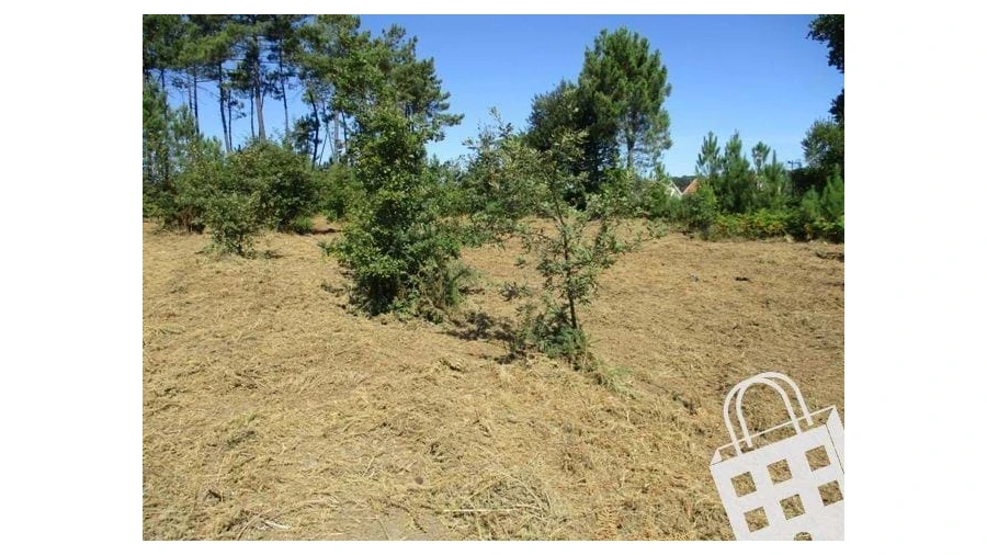 Terreno para Venda em Campo Foto 4