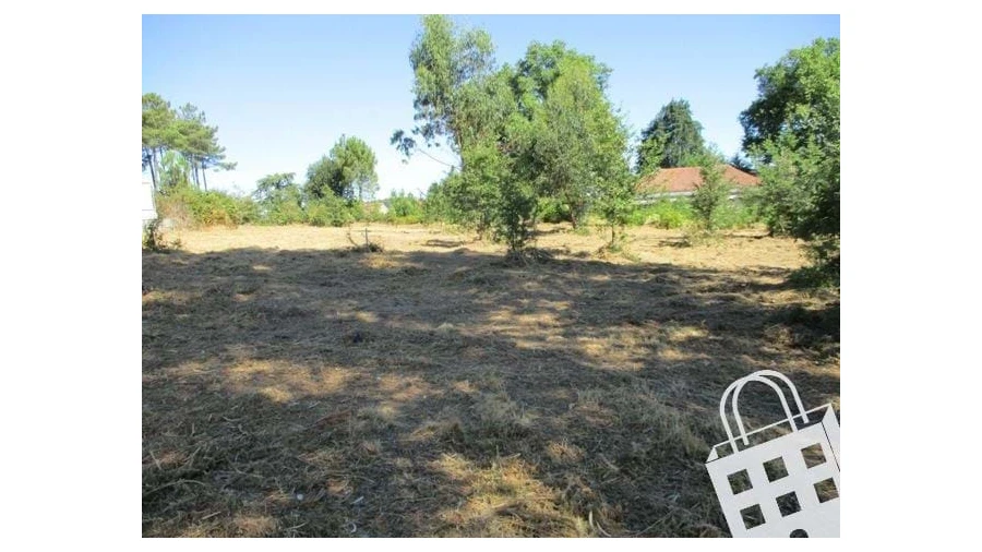 Terreno para Venda em Campo Foto 3