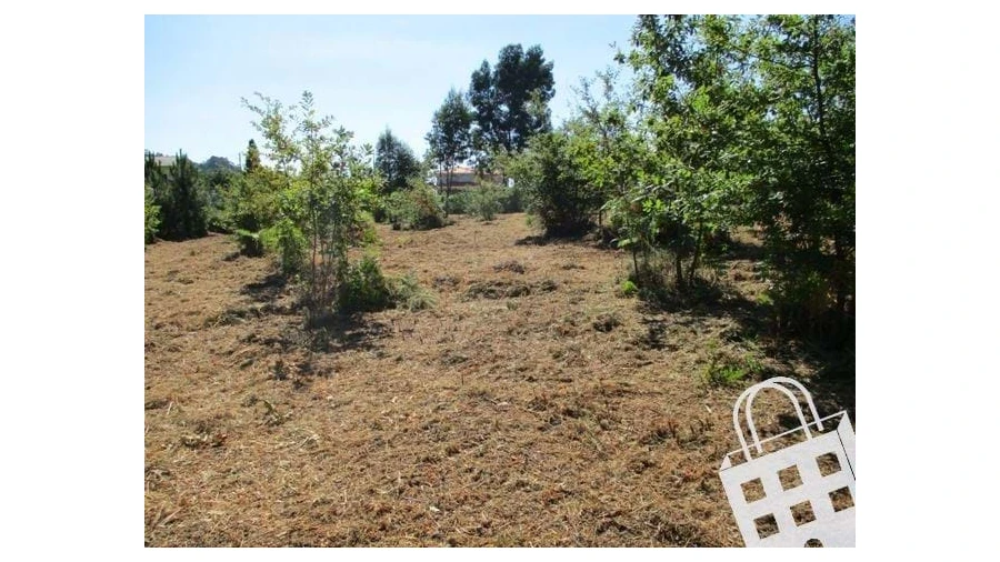 Terreno para Venda em Campo Foto 8