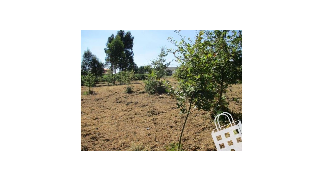 Terreno para Venda em Campo Foto 6