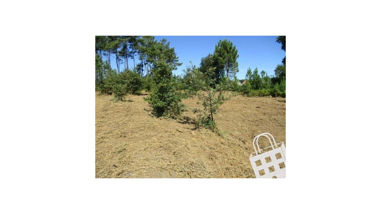 Terreno para Venda em Campo Foto 4