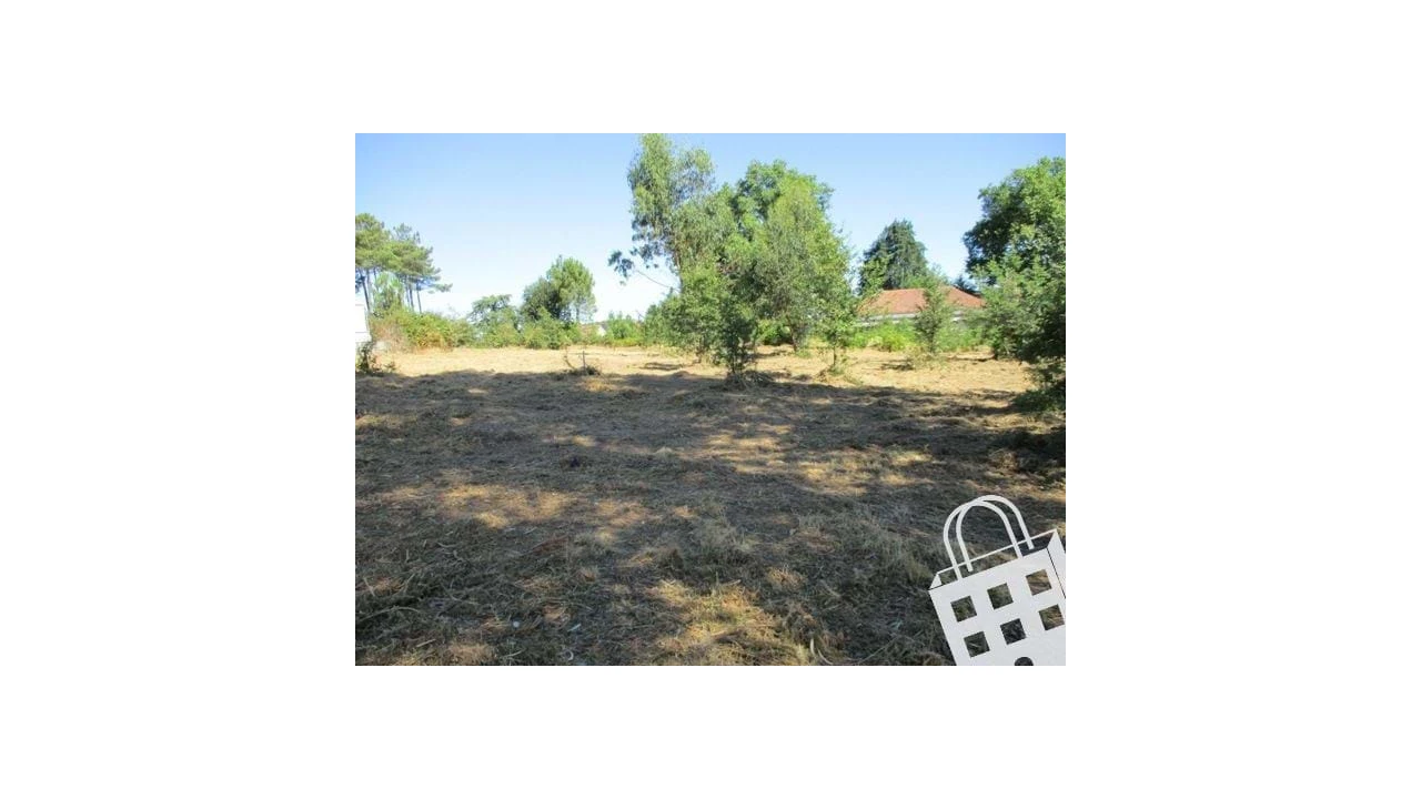 Terreno para Venda em Campo Foto 3