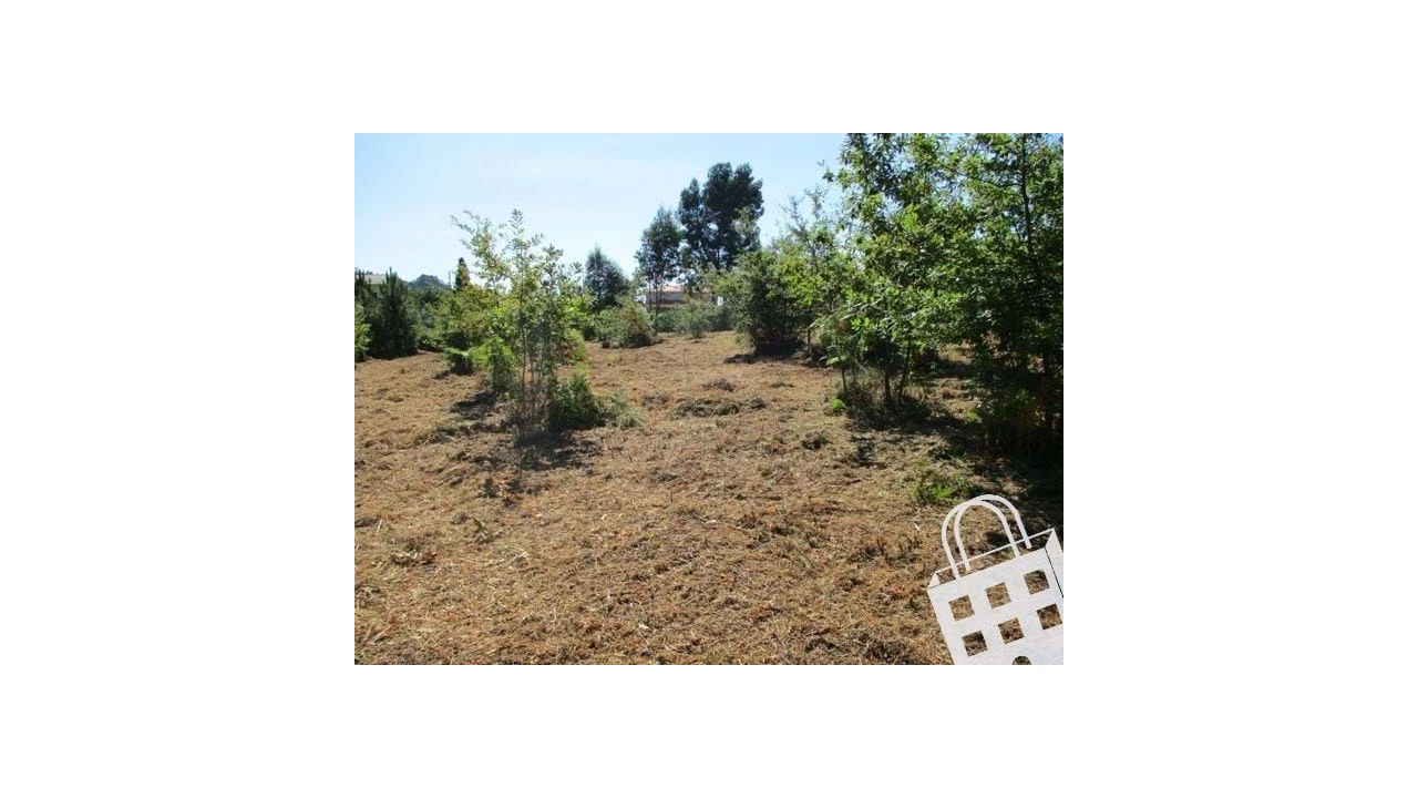 Terreno para Venda em Campo Foto 8