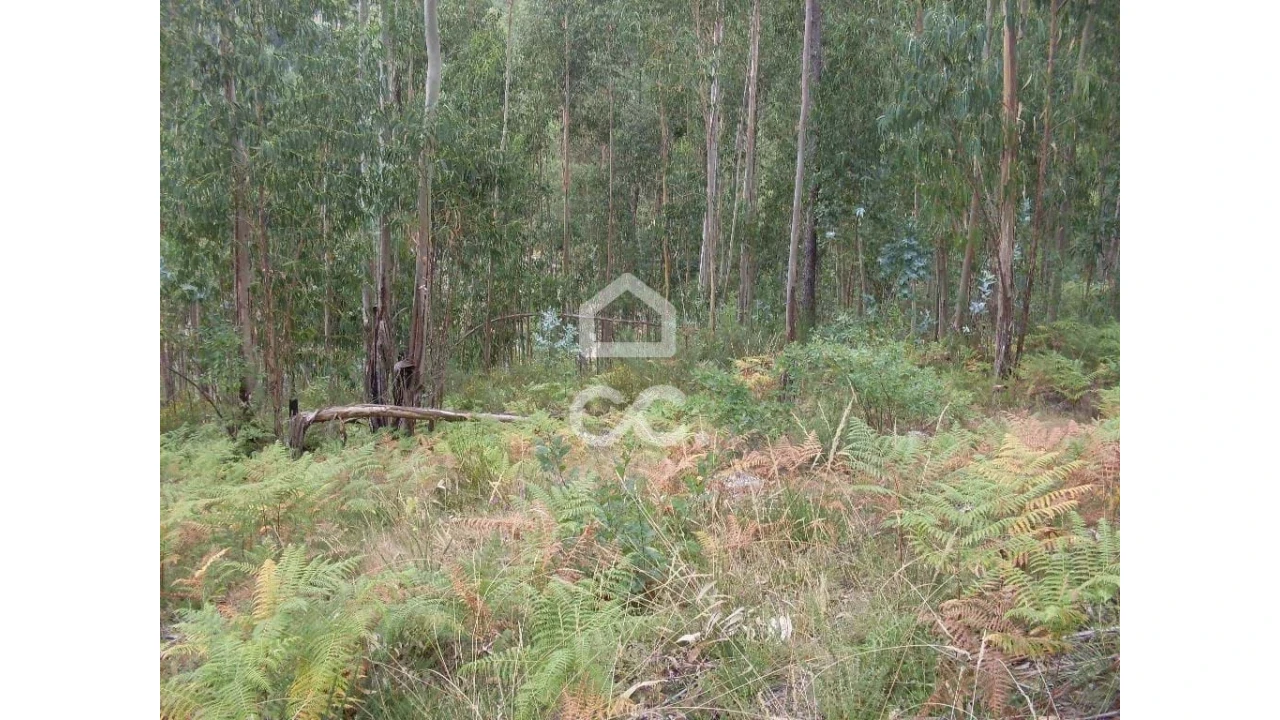 Terreno para Venda em Infantas Foto 10