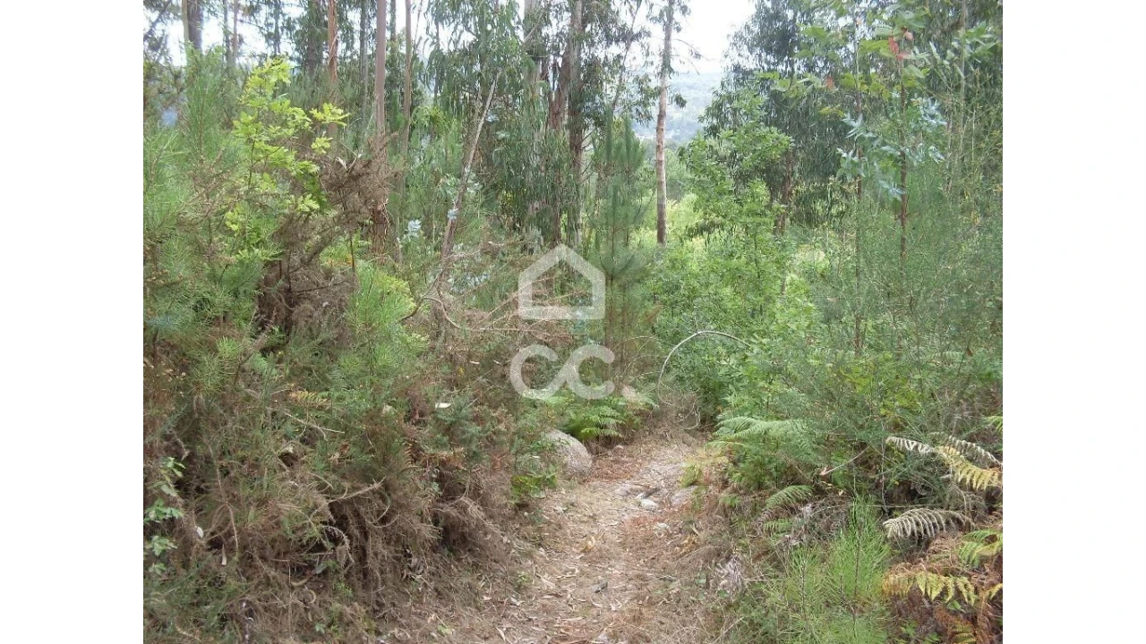 Terreno para Venda em Infantas Foto 8