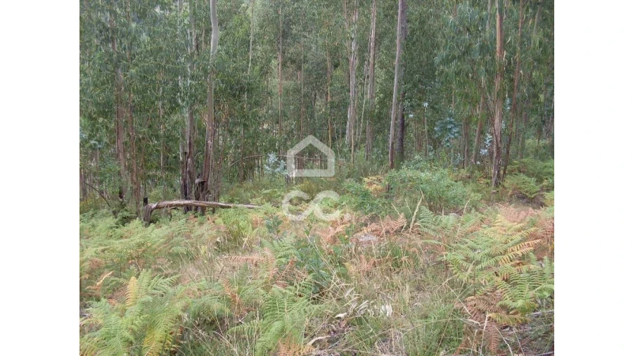 Terreno para Venda em Infantas Foto 10