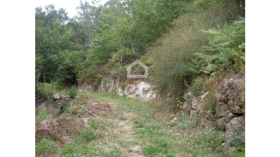 Terreno para Venda em Infantas Foto 3