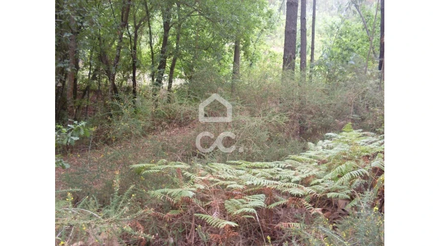 Terreno para Venda em Infantas Foto 7