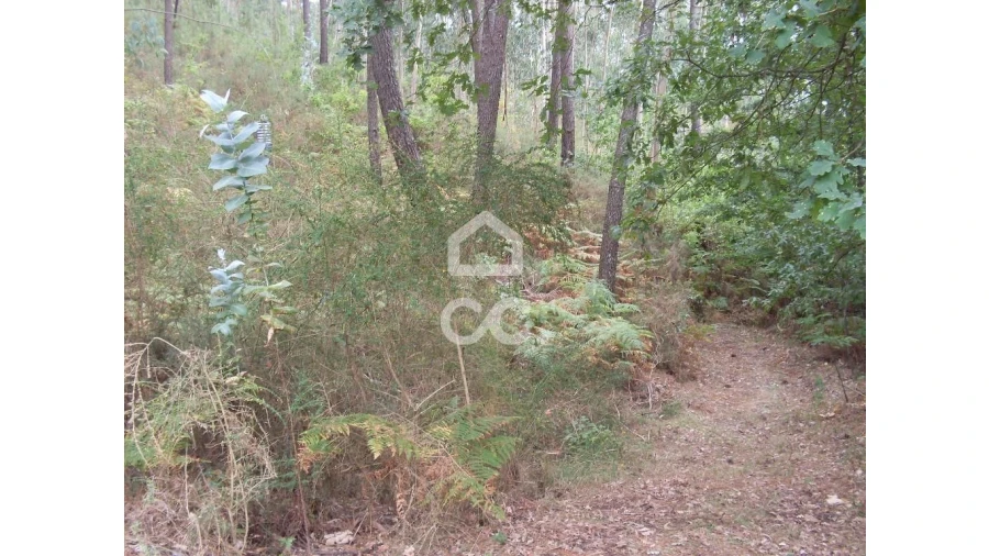 Terreno para Venda em Infantas Foto 6