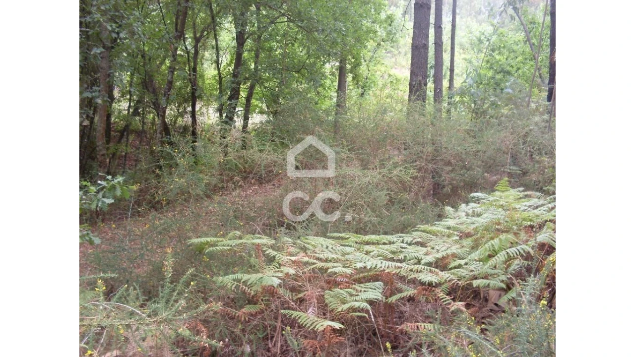 Terreno para Venda em Infantas Foto 7