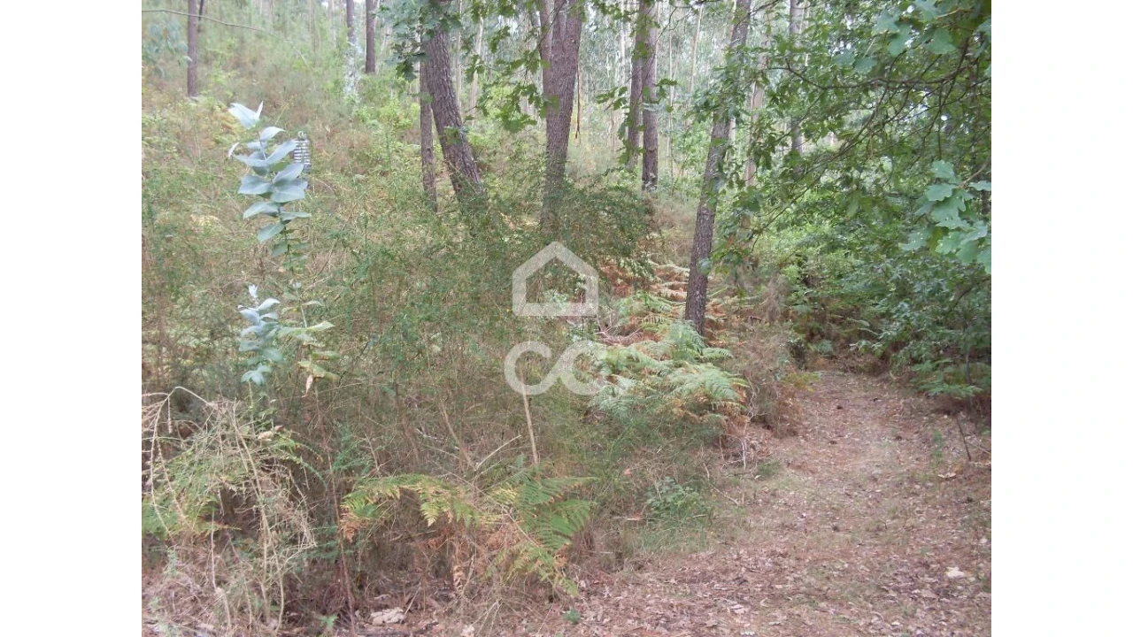 Terreno para Venda em Infantas Foto 6