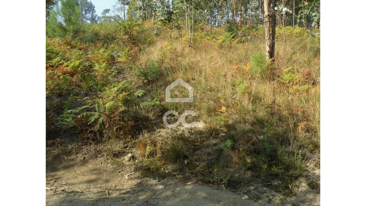 Terreno para Venda em Oliveira, São Paio e São Sebastião Foto 4
