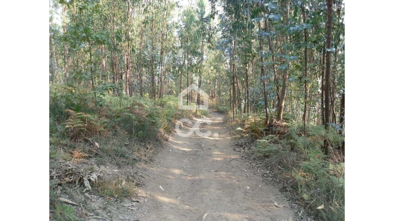 Terreno para Venda em Oliveira, São Paio e São Sebastião Foto 7