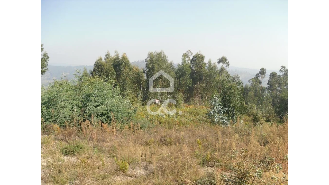 Terreno para Venda em Oliveira, São Paio e São Sebastião Foto 1