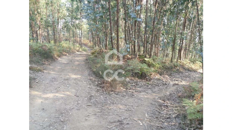 Terreno para Venda em Oliveira, São Paio e São Sebastião Foto 9