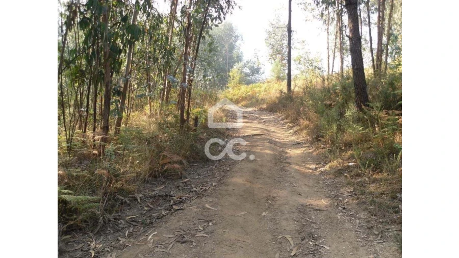 Terreno para Venda em Oliveira, São Paio e São Sebastião Foto 8